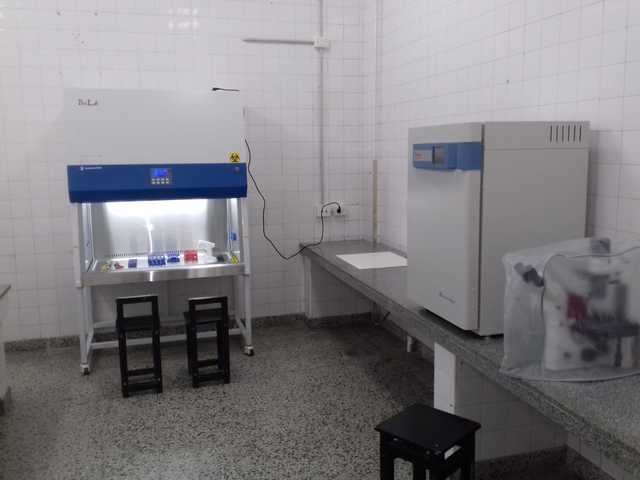 Imagen Acreditación