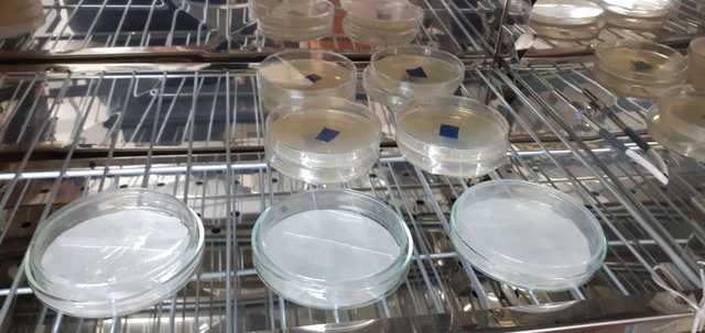En tiempos de COVID-19 la Facultad de Odontología trabaja en el esterilizador de Aire UV-C.
En tiempos de COVID-19 la Facultad de Odontología trabaja en el esterilizador de Aire UV-C.
