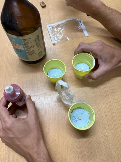 No solo las gaseosas: una investigación de la Facultad de Odontología de la UNLP advierte que también los jugos y aguas saborizadas dañan el esmalte dental
No solo las gaseosas: una investigación de la Facultad de Odontología de la UNLP advierte que también los jugos y aguas saborizadas dañan el esmalte dental