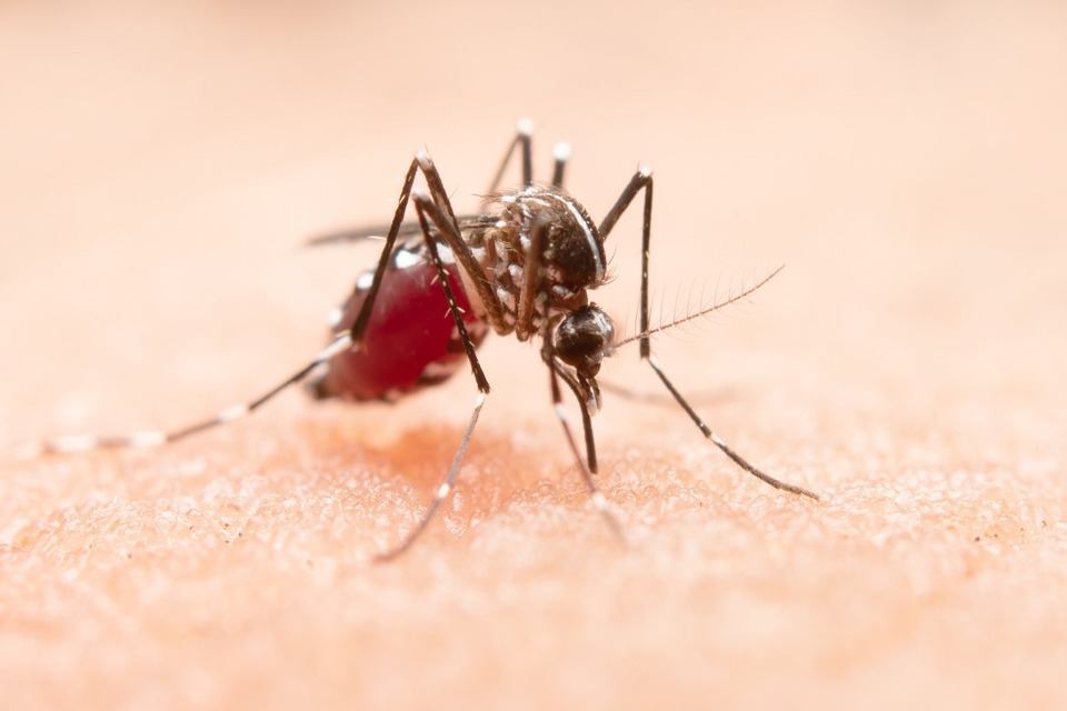 La Secretaría de Salud de la UNLP y la Facultad de Odontología lanzaron el OPERATIVO DENGUE.