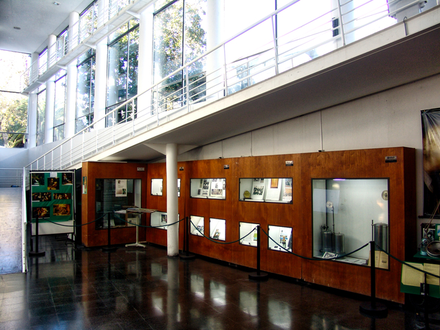 Institucional Museo