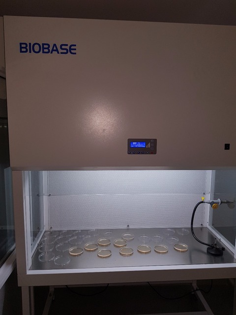 En tiempos de COVID-19 la Facultad de Odontología trabaja en el esterilizador de Aire UV-C.
En tiempos de COVID-19 la Facultad de Odontología trabaja en el esterilizador de Aire UV-C.